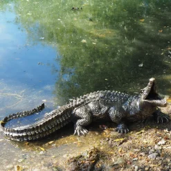 Statues & Sculptures Reptiles-Baby Crocodile Bronze Metal Garden Ornament