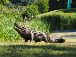 Statues & Sculptures Reptiles-Crocodile Life-Size Bronze Metal Garden Statue