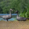 Statues & Sculptures Ducks-Ducks Aged Bronze Garden Ornaments