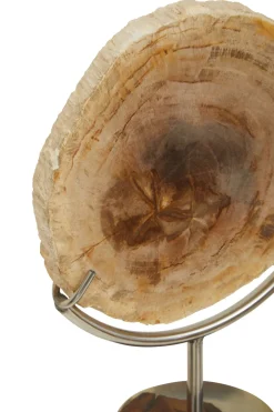 Statues & Sculptures Table Top|Abstract-Forest Fusion 38cm Wood Indoor Sculpture