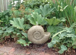 Statues & Sculptures Water Features-Grand Ammonite Fossil Stone Garden Water Feature