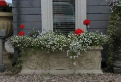 Statues & Sculptures Troughs|Large-Grand Athena Trough Stone Garden Planter