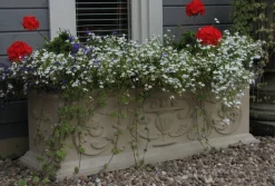 Statues & Sculptures Troughs|Large-Grand Athena Trough Stone Garden Planter