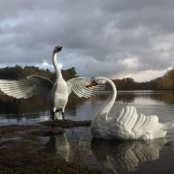 Statues & Sculptures Swans-Grand Pair of Swans Antique White Metal Garden Statues