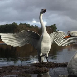 Statues & Sculptures Swans-Grand Pair of Swans Antique White Metal Garden Statues