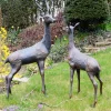 Statues & Sculptures Stags & Deers-Grand Stag & Doe Bronze Metal Garden Statues