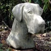 Statues & Sculptures Dogs-Great Dane Head Bust Stone Garden Ornament