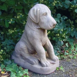 Statues & Sculptures Dogs-Great Dane Puppy Stone Garden Ornament