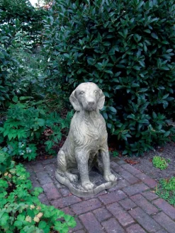 Statues & Sculptures Dogs-Irish Setter Stone Garden Statue