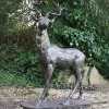 Statues & Sculptures Stags & Deers-Large Deer Right Facing Stag Bronze Metal Garden Statue