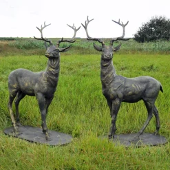 Statues & Sculptures Stags & Deers-Large Life Size Pair of Bronze Stags Sculptures - Deer Garden Ornaments