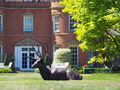 Statues & Sculptures Stags & Deers-Laying Deer Stag Bronze Metal Garden Statue