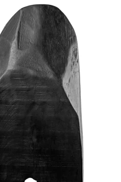 Statues & Sculptures Table Top|Abstract-Obsidian Essence 70cm Black Wood Indoor Sculpture