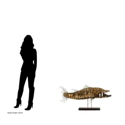 Statues & Sculptures Table Top|Animals-Razorfin Stainless Steel Indoor Sculpture