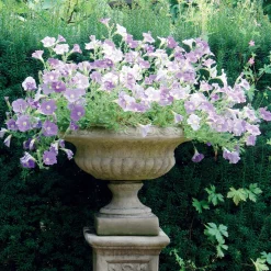 Statues & Sculptures Large|Round-Victorian Medium Stone Garden Planter on Pedestal
