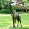 Statues & Sculptures Wildlife|Modern-Wild Giraffe 205cm Bronze Metal Garden Statue