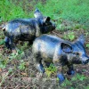 Statues & Sculptures Farm-Wild Piglets (Set of 2) Bronze Metal Garden Ornaments